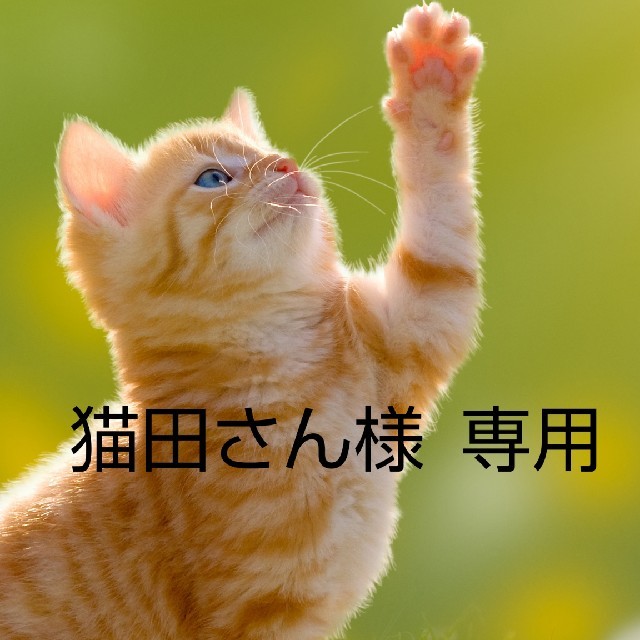 いなばペットフード(イナバペットフード)のチャオちゅーる 猫用オモチャ  非売品 その他のペット用品(猫)の商品写真