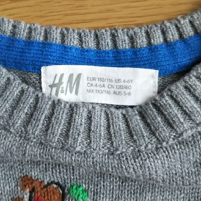 H&M(エイチアンドエム)のH＆M  キッズセーター  110サイズ  4～6歳  キッズ/ベビー/マタニティのキッズ服男の子用(90cm~)(ニット)の商品写真