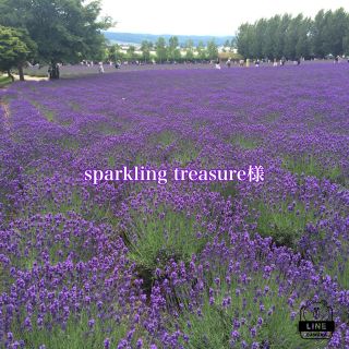 Sparkling treasureさま専用(その他)