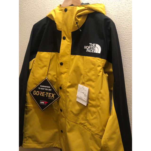 THE NORTH FACE MOUNTAIN LIGHT JACKET