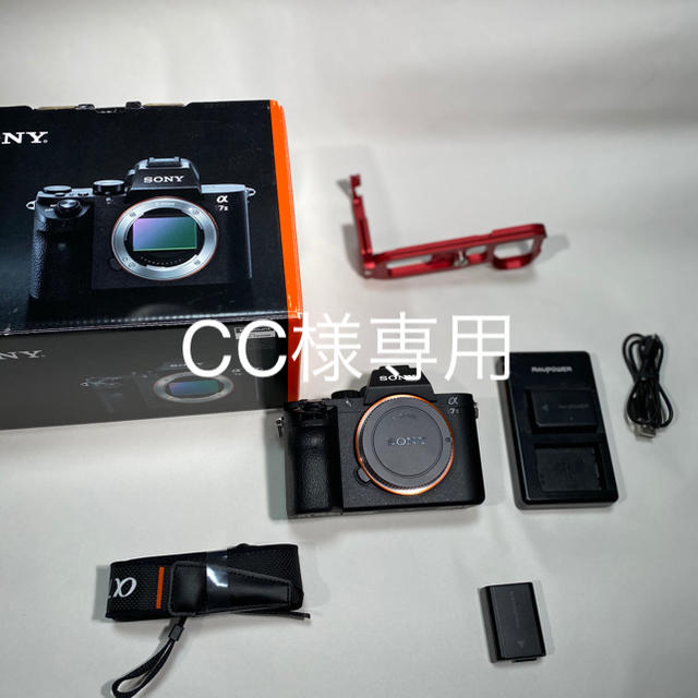 100%安い SONY - CC ミラーレス一眼 - sanmartinbakery.us