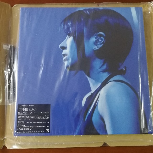 Hikaru Utada Laughter in the Dark Tour  エンタメ/ホビーのDVD/ブルーレイ(ミュージック)の商品写真