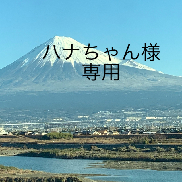 プラチナ ダイヤモンド リング PT900