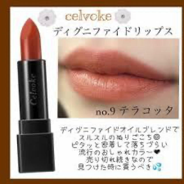 即発送可☆celvoke テラコッタ ブランド1番人気の09