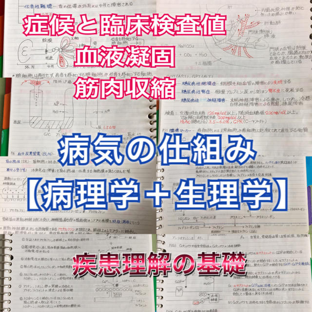 by　登録販売者試験対策シリーズ【病理学・生理学】まとめノートセットの通販　Prince【医療系資格取得応援！】｜ラクマ