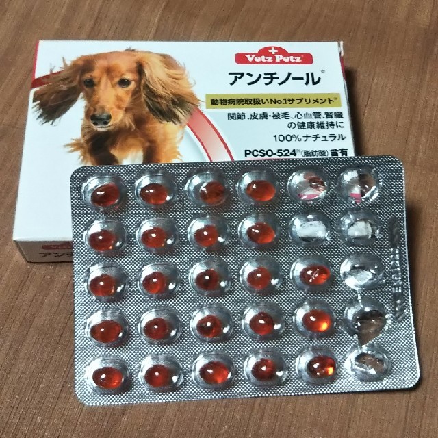 アンチノール 犬の通販 by TINO's shop｜ラクマ