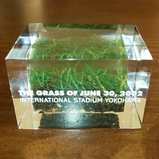 2002 FIFA ワールドカップ 決勝の芝 【横浜国際総合競技場の芝】