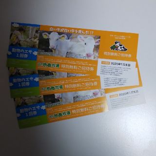 成田ゆめ牧場 無料券3枚(動物園)