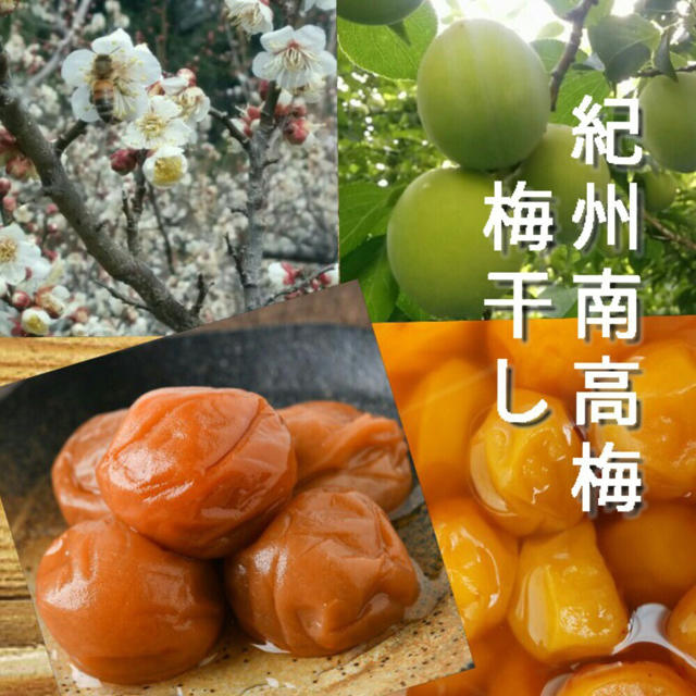 【訳あり】減塩しそ梅干し1kg 紀州南高梅 食品/飲料/酒の加工食品(漬物)の商品写真