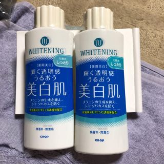 化粧水 2本セット(化粧水/ローション)