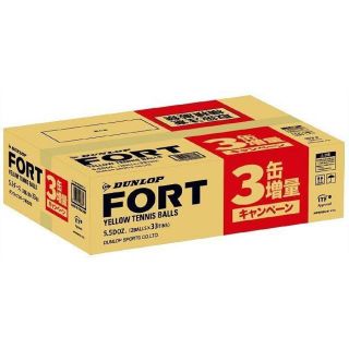 最安値に挑戦！！ ☆DUNLOPFORT☆新品ダンロップフォート2個入30缶1箱