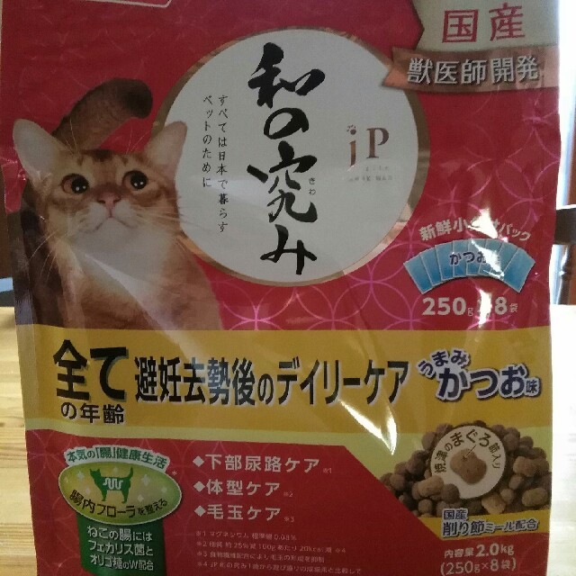 和 の 極み 猫