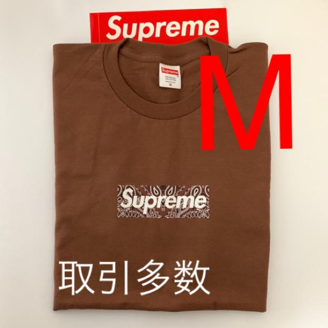 Box Logo T  Supreme  Brown MサイズTシャツ/カットソー(半袖/袖なし)