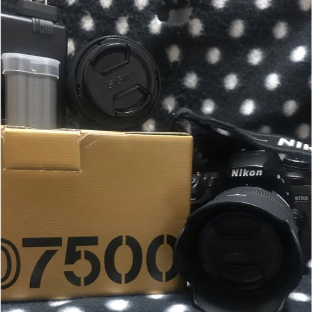 D7500 SIGMAレンズ2本 Nikon ニコン