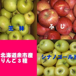 北海道産余市町りんご３種【ふじ】【王林】【シナノゴールド】訳あり品５キロ(フルーツ)