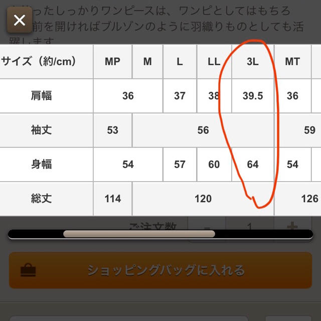 期間限定価格☆サニークラウズ ワークブルゾンピース　大きいサイズ3L 3