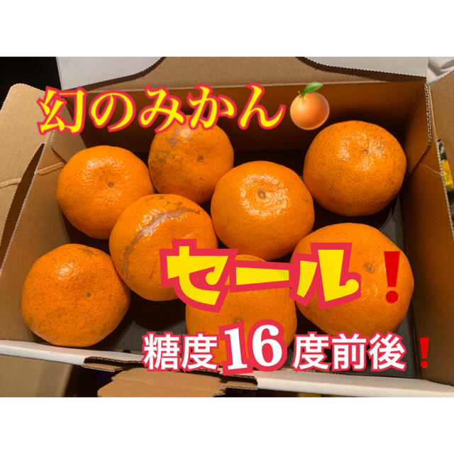 熊本県 幻の河内みかん 5kg  ☆完熟無農薬ミカン☆ 農家直送 食品/飲料/酒の食品(フルーツ)の商品写真