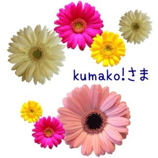 kumako!様専用ページ(その他)