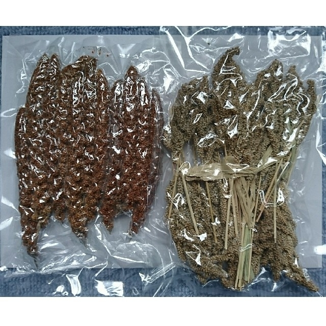 赤粟穂 ひえ穂 セット 無農薬栽培 北海道から その他のペット用品(鳥)の商品写真