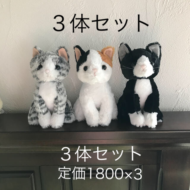 ぬいぐるみ　猫 エンタメ/ホビーのおもちゃ/ぬいぐるみ(ぬいぐるみ)の商品写真