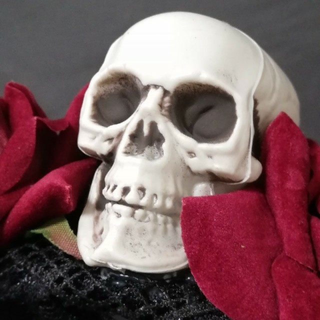 スカルゴシックカチューシャ　赤薔薇 レディースのヘアアクセサリー(カチューシャ)の商品写真