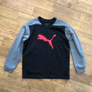 プーマ(PUMA)の⭐︎PUMA⭐︎ ジュニア　Tシャツ　size 150(Tシャツ/カットソー)