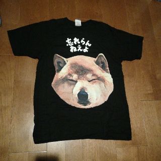 忘れらんねえよのTシャツ(ポップス/ロック(邦楽))