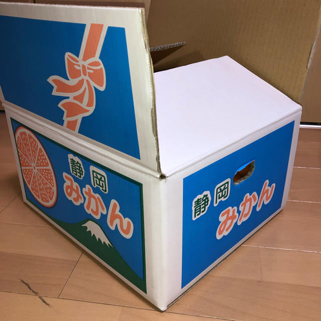 がちょびん様専用　訳あり静岡みかん　15kg 食品/飲料/酒の食品(フルーツ)の商品写真