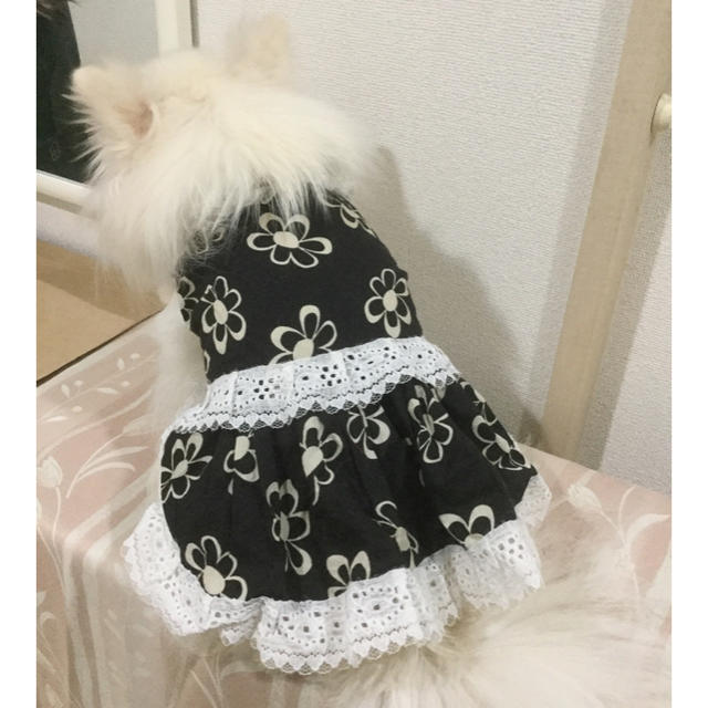 小型犬 タンク型 ワンピース 型紙の通販 By Prettylemon S Shop ラクマ 小型犬 タンク型 ワンピース 型紙の通販 By Prettylemon S Shop ラクマ