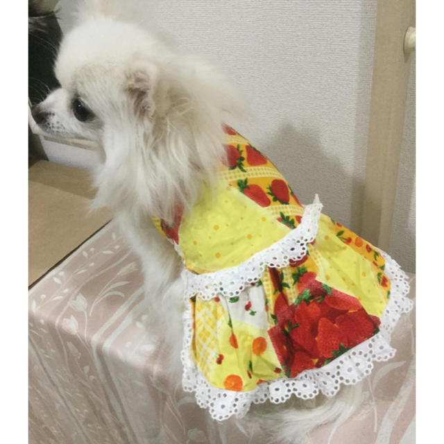 小型犬　タンク型　ワンピース　型紙 その他のペット用品(犬)の商品写真