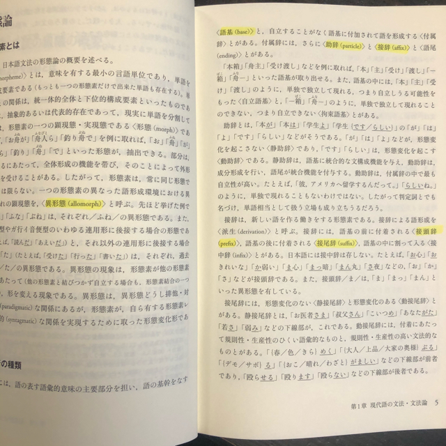 日本語要説 エンタメ/ホビーの本(語学/参考書)の商品写真