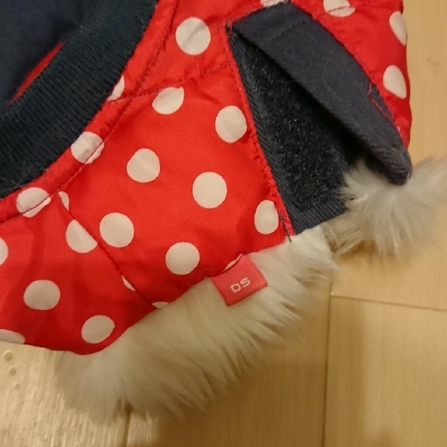 Disney(ディズニー)の犬　服　試着のみ その他のペット用品(犬)の商品写真