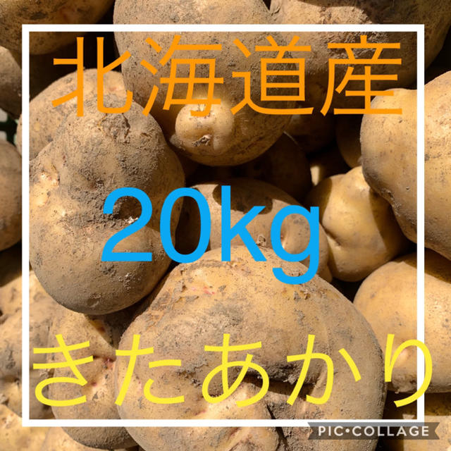 北海道産 キタアカリ 20kg