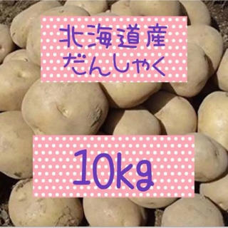北海道産 わけありじゃがいも    男爵10kg(野菜)