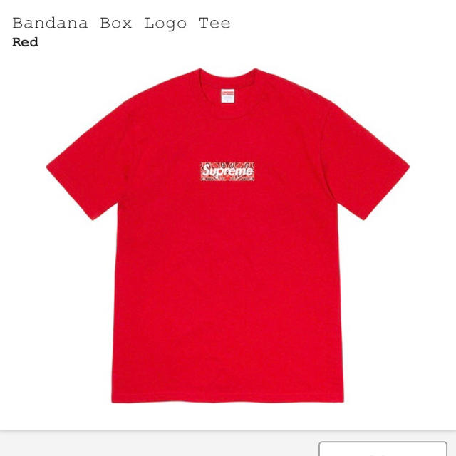 Supreme(シュプリーム)のsupreme bandana box logo tee メンズのトップス(Tシャツ/カットソー(半袖/袖なし))の商品写真