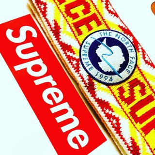 シュプリーム(Supreme)のSupreme®/The North Face(その他)