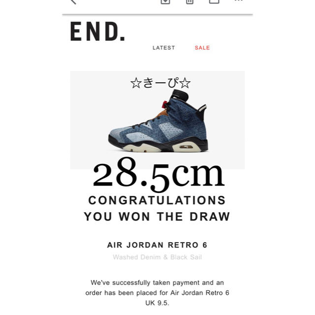 Air Jordan 6 Washed Denim 28.5cmスニーカー