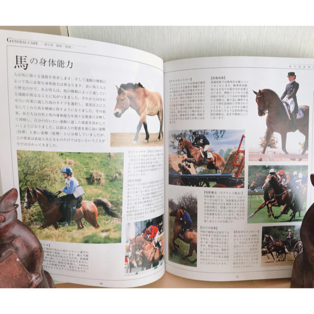 miya1225jp様専用ページ ＨＯＲＳＥ ＣＡＲE ＭＡＮＵＡＬ 馬を飼うた