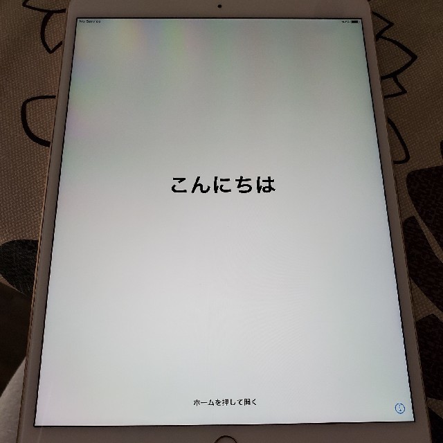 ipad pro10.5 ゴールド256G　docomo版