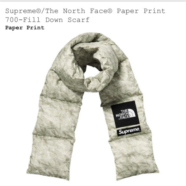 Supreme / NorthFace Paper Print 700-Fill