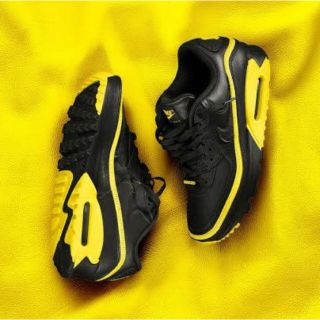 アンディフィーテッド(UNDEFEATED)の27 UNDEFEATED NIKE AIR MAX 90 AIRMAX(スニーカー)