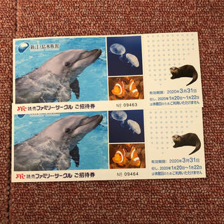 あかねん様　新江ノ島水族館　チケット2枚(水族館)