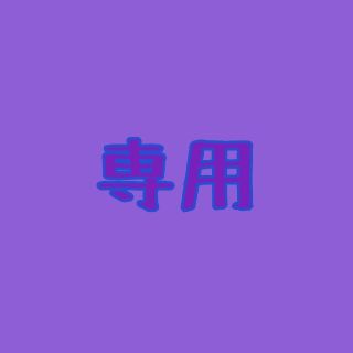 YGDK様 専用(その他)