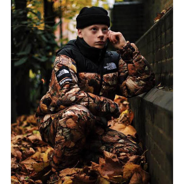 2種類選べる Supreme The North Face Nuptse 枯葉 | labiela.com