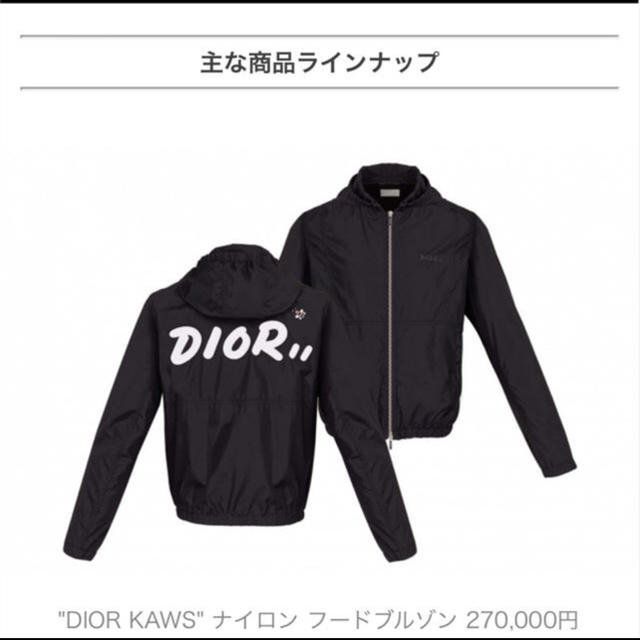 19SS dior homme kaws bee ジャケット46 キムジョーンズ