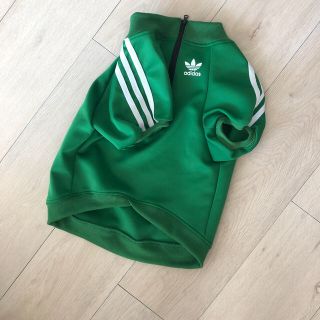 犬　服　addidas 犬ジャージ(犬)