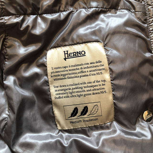 HERNO(ヘルノ)のヘルノ　ダウンコート レディースのジャケット/アウター(ダウンコート)の商品写真