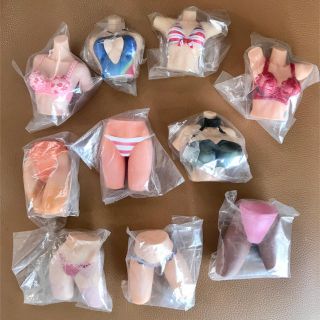 浪漫堂 バスト エンペラーVol.1 全12種セット 【爆売りセール開催中