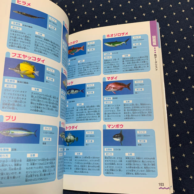 ぬし釣り64-潮風にのって-完全攻略ガイド Nintendo 64対応 ぬし釣り64-潮風にのって-完全攻略ガイド Nintendo 64対応