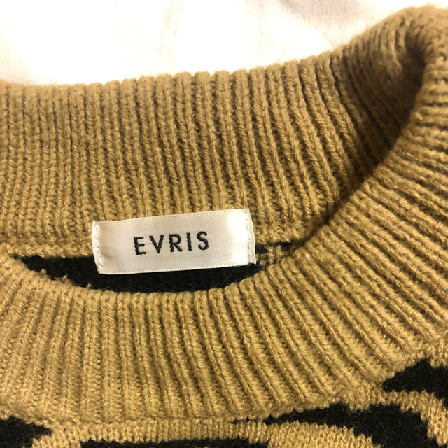 EVRIS(エヴリス)のニット レディースのトップス(ニット/セーター)の商品写真